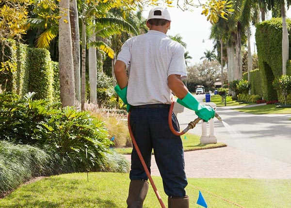 About Garden City NY Pest Control